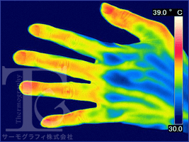 手（人体）の画像01